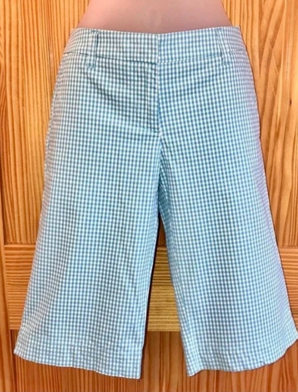 NWOT-Baby Blue & White Checkered Shorts